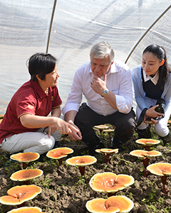 the organic certification of China, the US, Japan and the EU